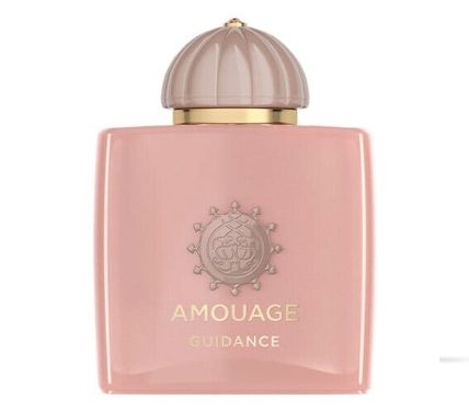 Amouage Guidance Eau De Parfum 100 ml